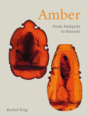 cover image of Amber